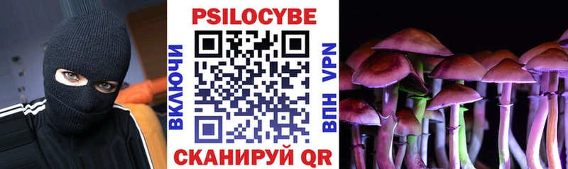 Псилоцибиновые грибы Psilocybe  где можно купить наркотик  Лысьва 